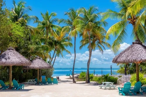 Barbados Arrival Card
